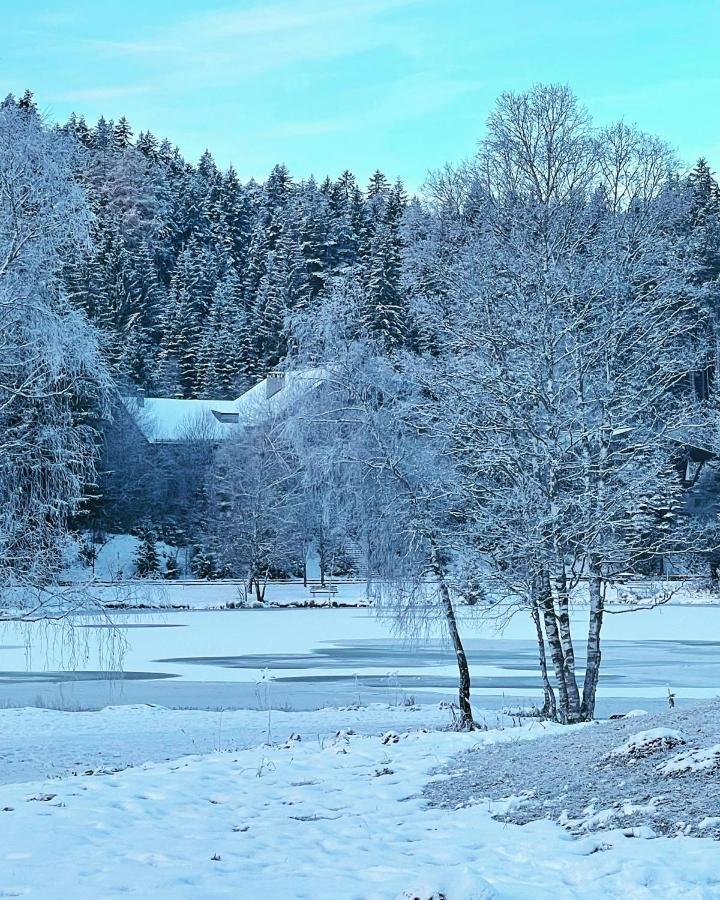 זיפלד אין טירול Lakeside Apartments Seefeld מראה חיצוני תמונה